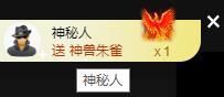 喵崽小花猫主播照片