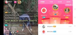 广西玲玲🌻主播照片
