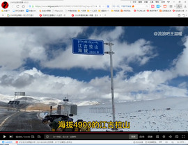保利哥主播照片