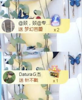 金麒麟安静唱歌🎤的图片