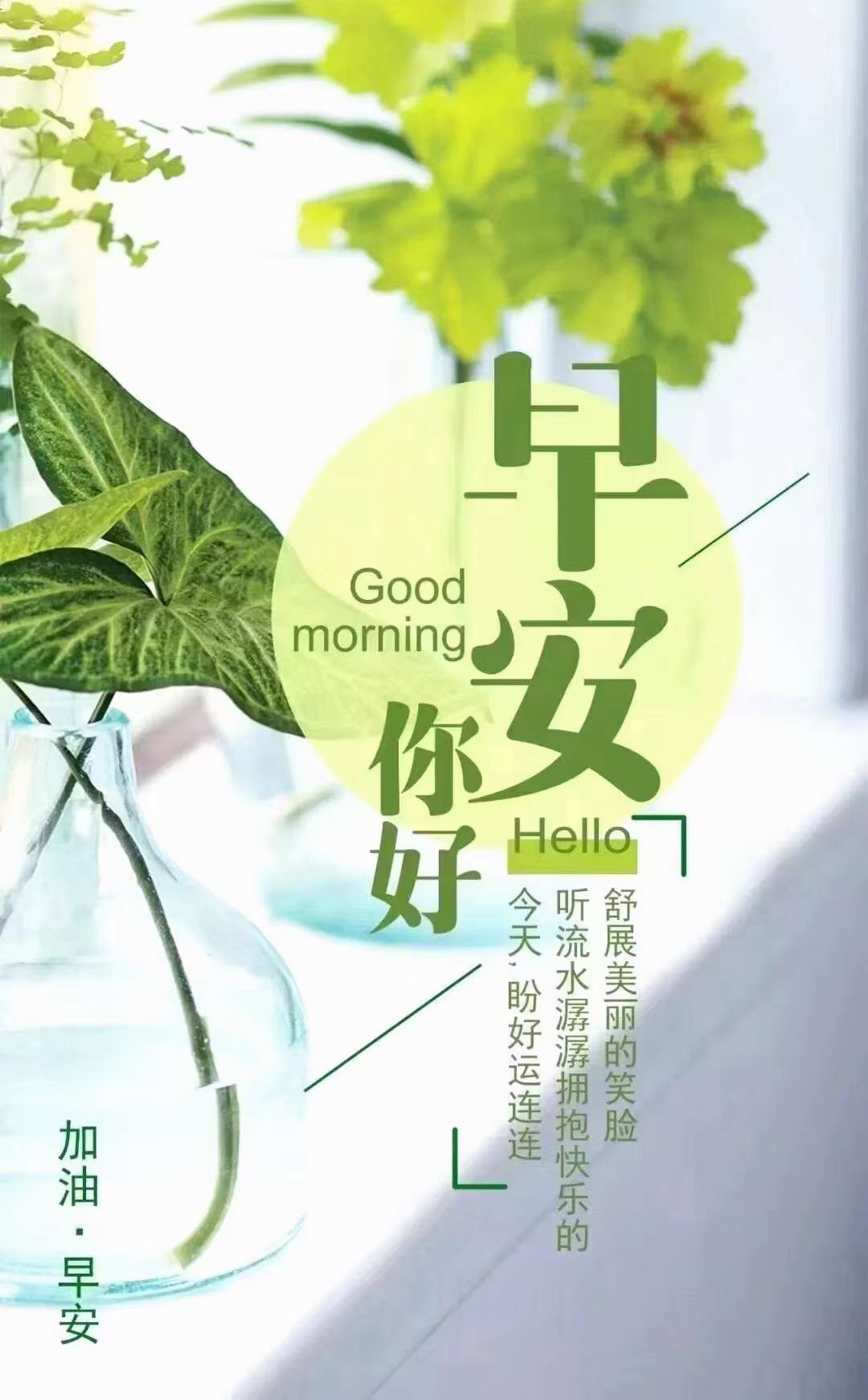 安琪同学的图片