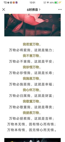 佑君♥《平安好运》的图片
