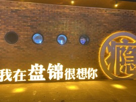 我是隐身娃主播照片