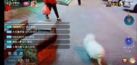 果果(平安好运)主播照片