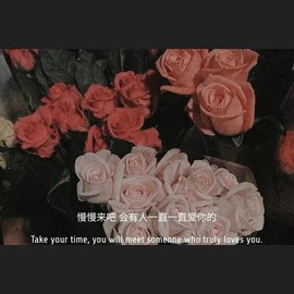 大白羊🌞相信光🧡主播照片