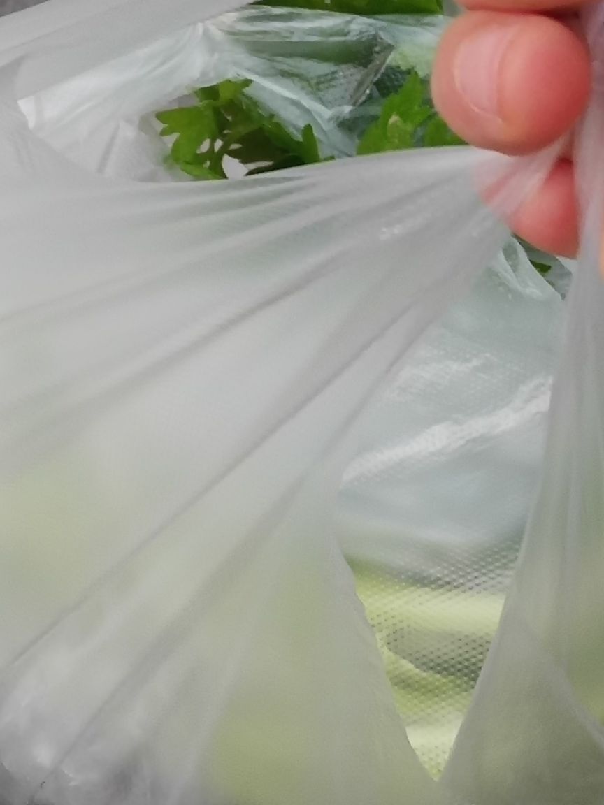 果果(平安好运)的图片