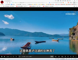 保利哥主播照片