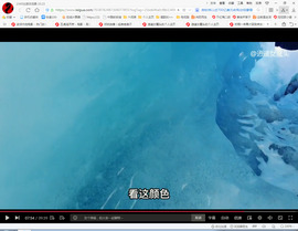 保利哥主播照片