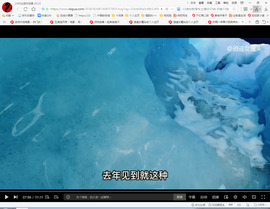 保利哥主播照片