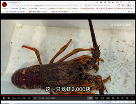 保利哥主播照片