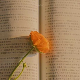 honey兔好运来~主播照片