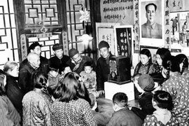 本地麦收即将开启主播照片