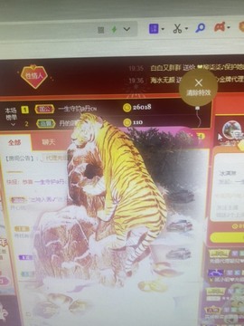 丹从心开始求老板主播照片