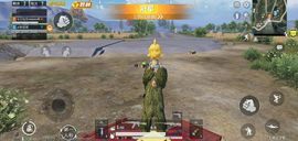 乖巧宝宝歌曲：凤凰飞主播照片