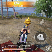 向往的雄鹰x