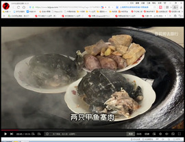 保利哥主播照片