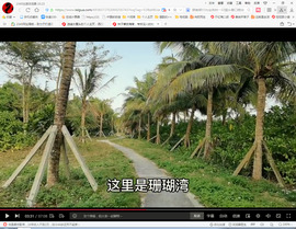 保利哥主播照片