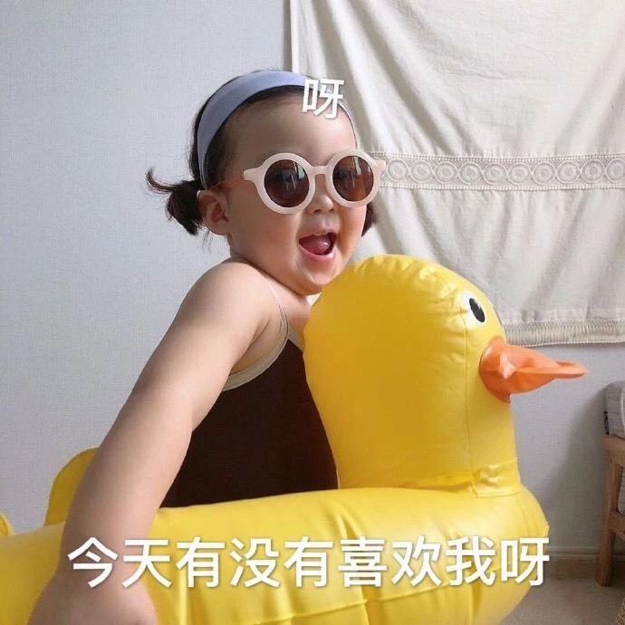 茶茶子的主播照片