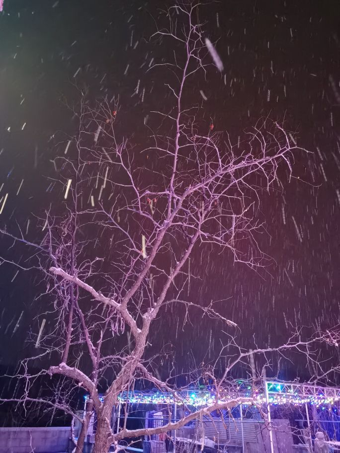 ღ瑋玮的图片