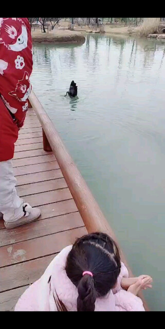 这是什么动物呢？谁的
