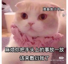 一树梨花压海唐同学☞主播照片
