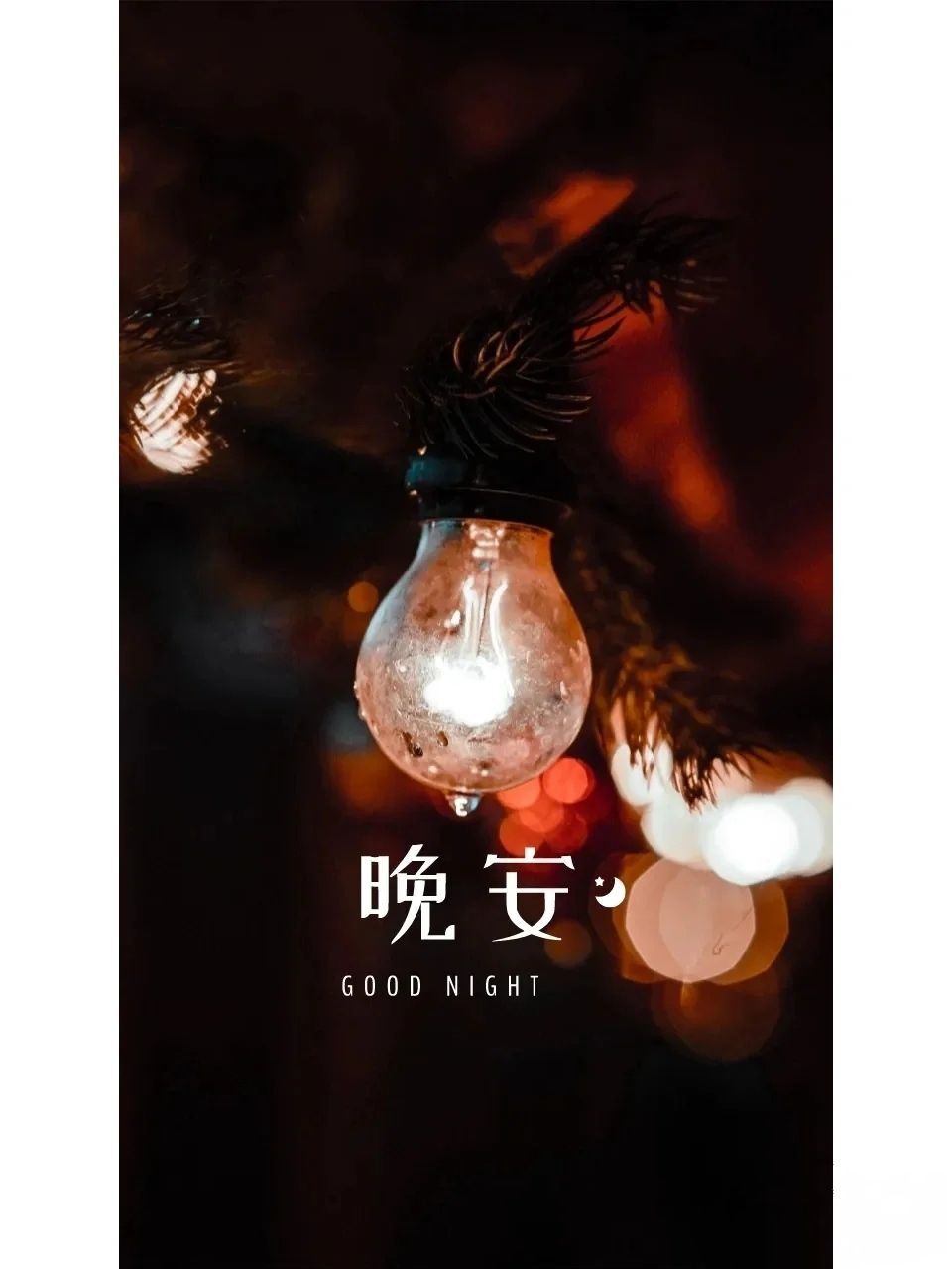 温暖宝宝💰好运连连的图片