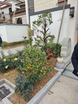 戰神大元帥黎歌主播照片