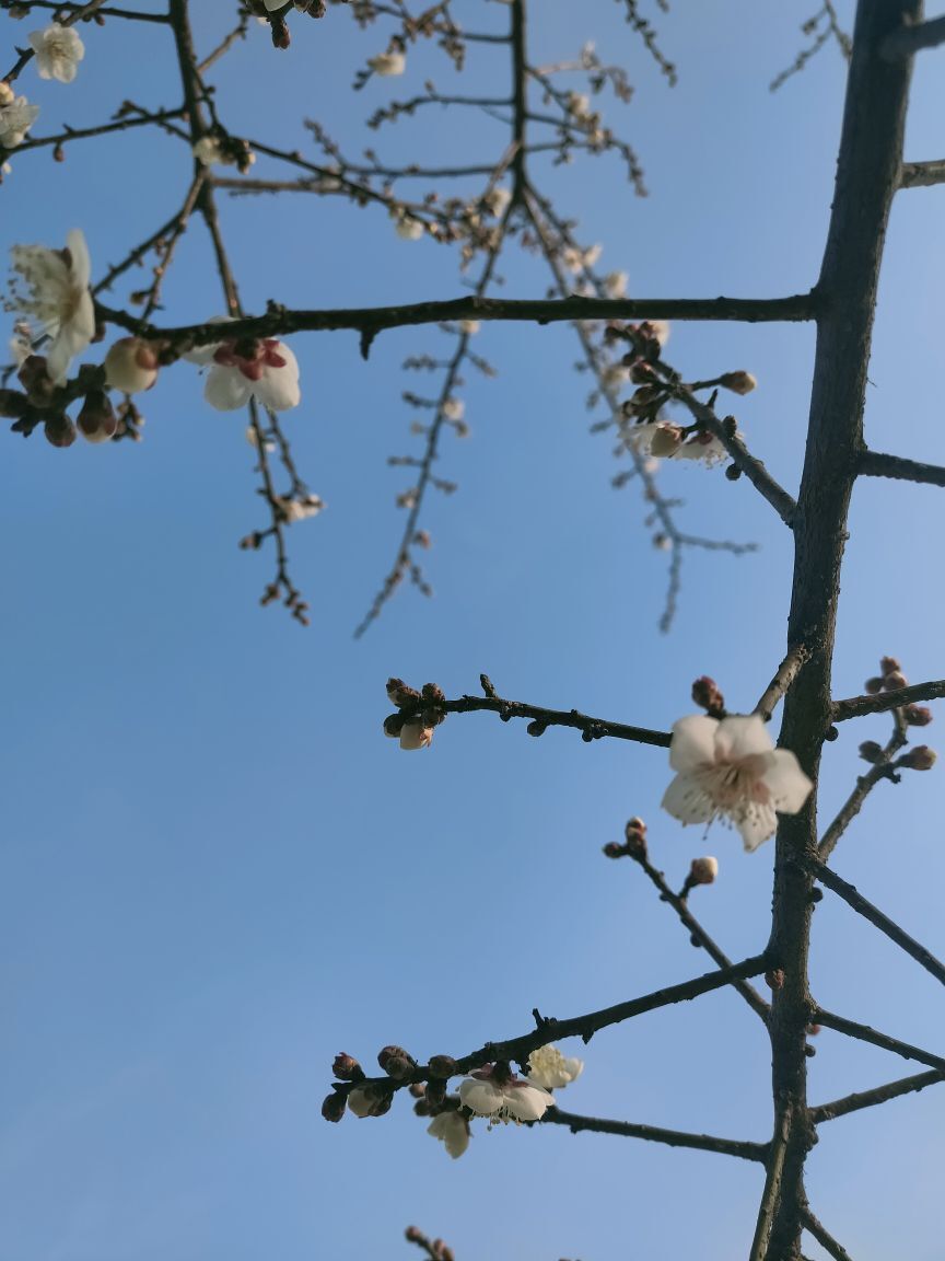 婷婷💕感恩有你陪伴的图片