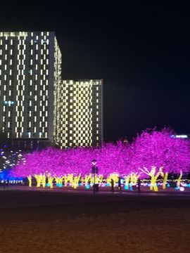 🌹伊梦萍🌹主播照片