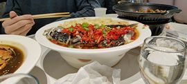 木辛i6!的图片