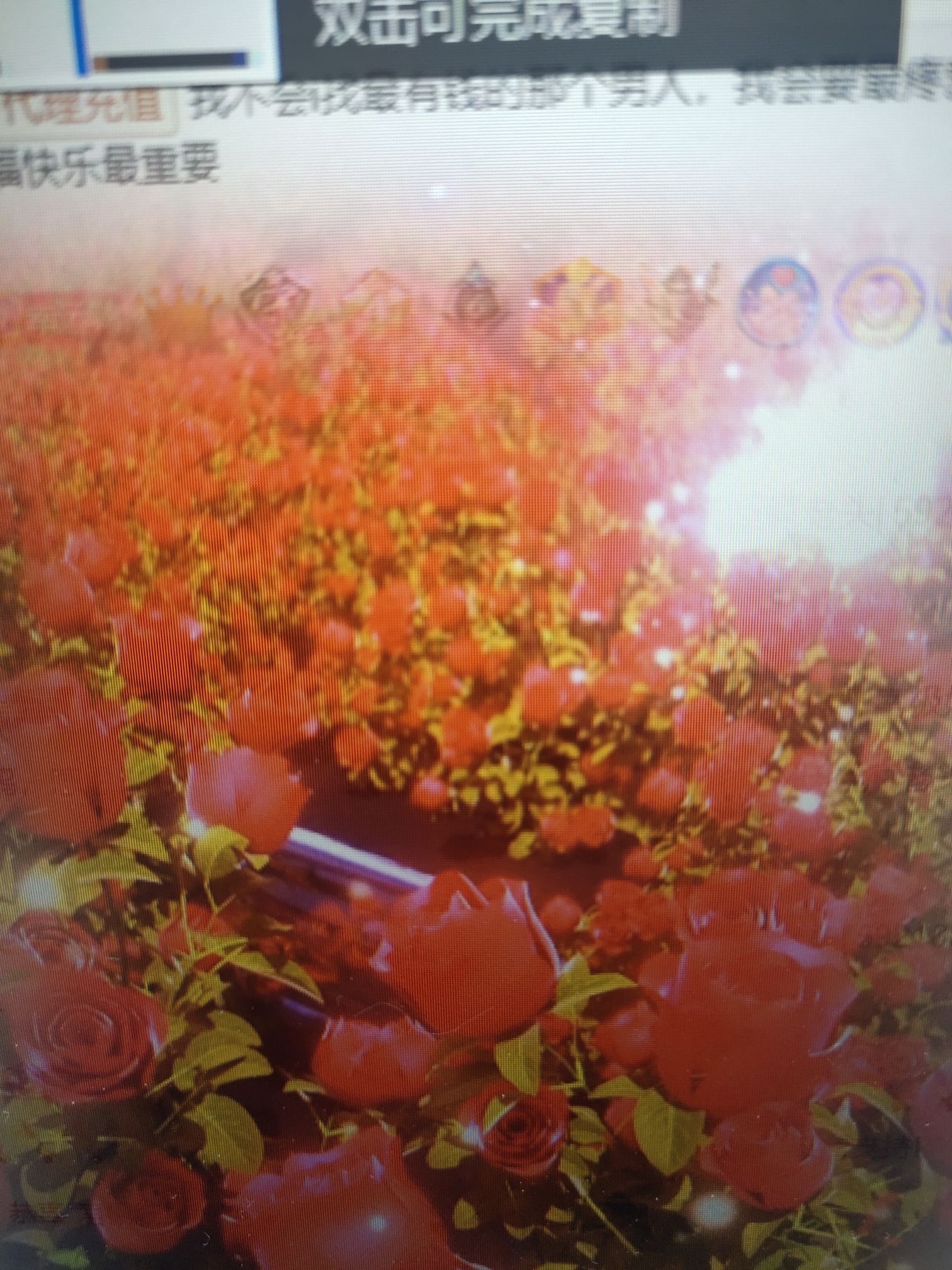 丑小鸭💞愿有一束光的图片
