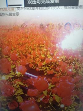 鸭鸭宝我耐你哈哈哈的图片