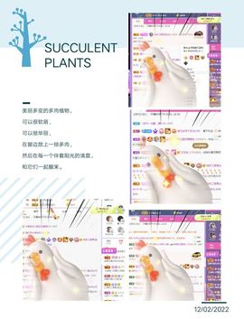 一树梨花压海唐同学☞主播照片