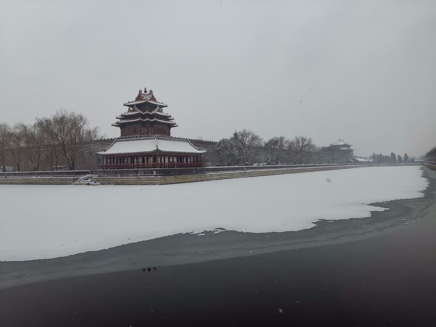 果果(平安好运)的图片