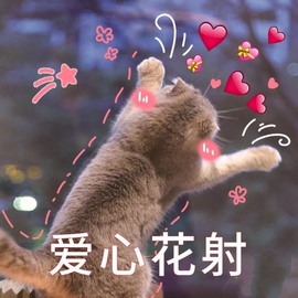 跑调嘉💟休主播照片