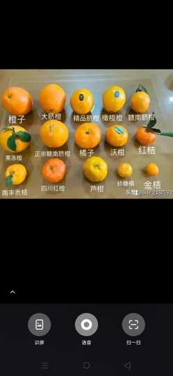 MobE17987G主播照片