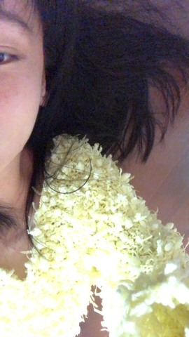 （全网同名）主播照片