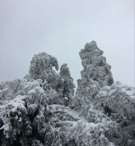 迷糊*鬼魅主播照片