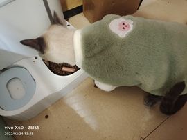 慕瑶小馋猫随风飘扬啦主播照片