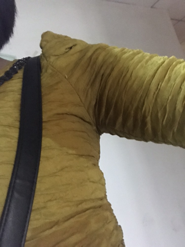 茶茶幸运星的图片