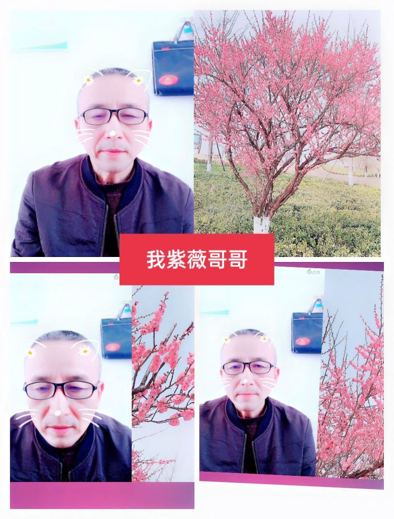 婷婷💕感恩有你陪伴的图片