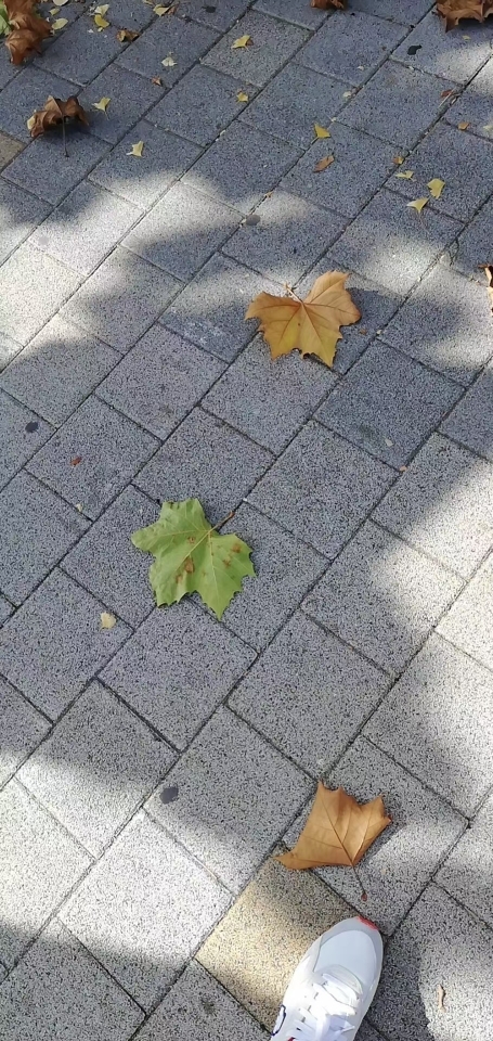 ☂゛苏苏的主播照片