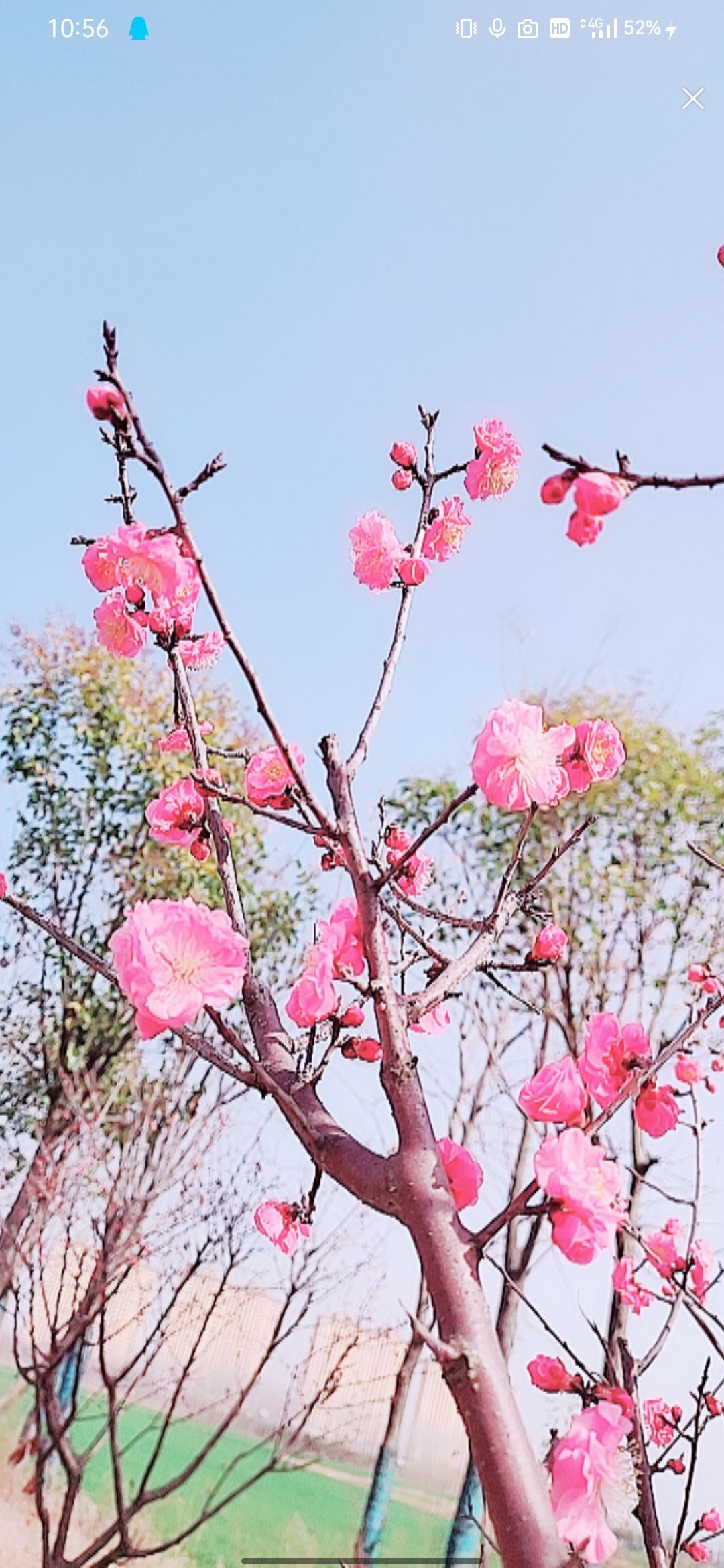 婷婷💕感恩有你陪伴的图片