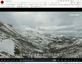保利哥主播照片