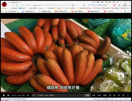 保利哥主播照片