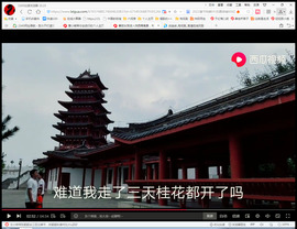 保利哥主播照片