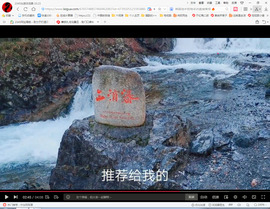 保利哥主播照片
