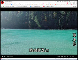 保利哥主播照片
