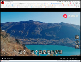 保利哥主播照片
