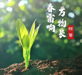 დ释怀დ主播照片